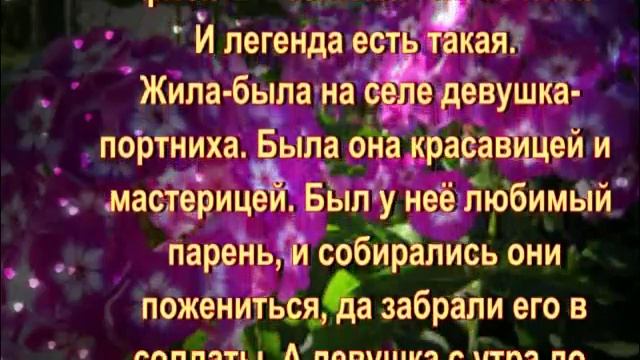Флокс. Легенды о флоксе смотреть онлайн