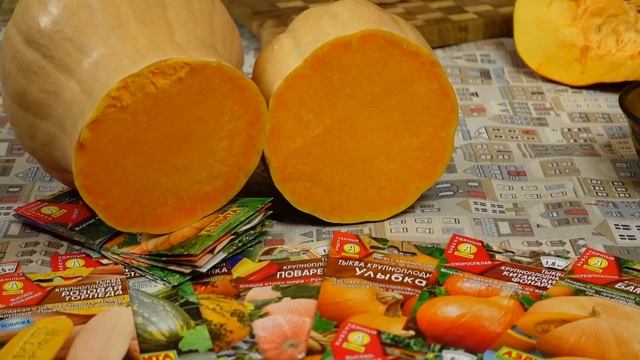 Эти тыквы вас точно порадуют - выбор сортов и рецепты! смотреть онлайн