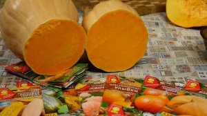 Эти тыквы вас точно порадуют - выбор сортов и рецепты!