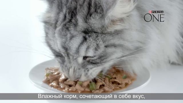 Purina ONE®