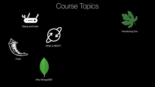 Eve: Building RESTful APIs with MongoDB and Flask course introduction смотреть онлайн