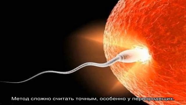 Учебник по Таланту
