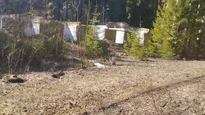 Лагерь призрак. Алапаевский район пионерский лагерь Дружба