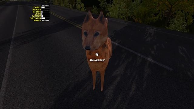 My Summer Dog MOD | My Summer Car EP#29