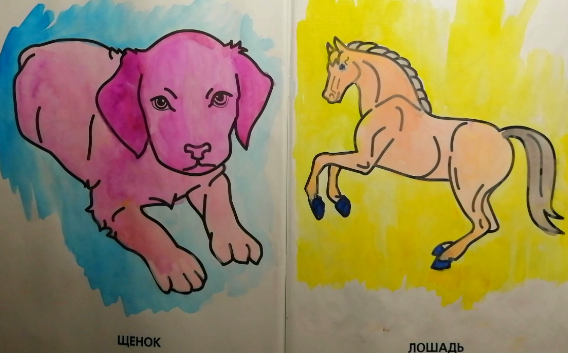 Раскраска от Вероники-2 смотреть онлайн