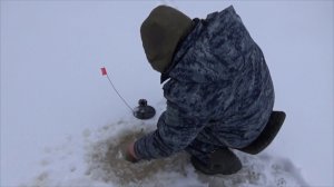 Нихчего не поймали.