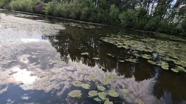 ОТДЫХ И РЫБАЛКА НА РЕКЕ КАМА (ЧЕТВЕРТАЯ СЕРИЯ) смотреть онлайн