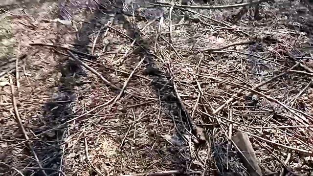 Не было идей названия//Енот из деревни смотреть онлайн