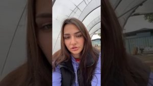 Вопрос-Ответ о работе в Шотландии