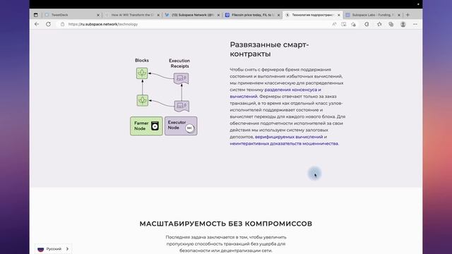 SUBSPACE NETWORK - БЛОКЧЕЙН 4 ПОКОЛЕНИЯ. СКОРО TESTNET SUBSPACE GEMINI 3 смотреть онлайн