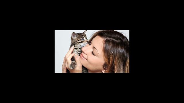 Как воспитать котёнка смотреть онлайн