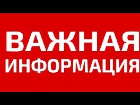 срочно посмотри этот ролик смотреть онлайн