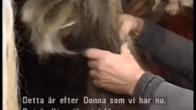 Erik och Sigvard - Ett år i Småland - Del 4 - Våren смотреть онлайн