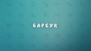 Лесные животные для детей | Развивающее видео по системе Монтессори | карточки Домана