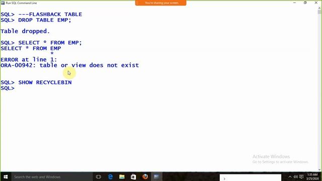 FLASHBACK IN ORACLE : BY SANTOSH CHOUDHARY смотреть онлайн