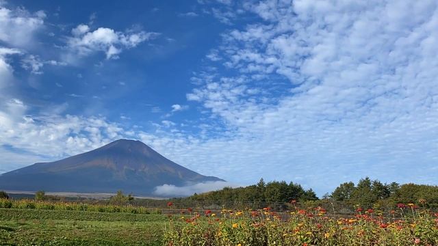 Принятие себя. Инструкция!