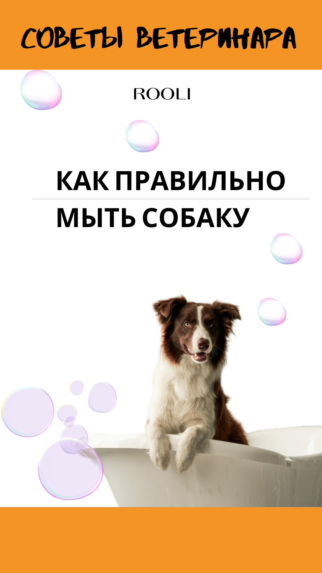 Как правильно мыть собаку. Пошаговая инструкция для мытья собаки. смотреть онлайн