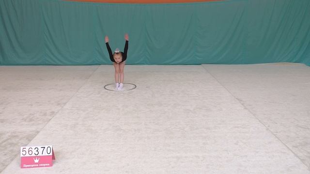 Обязательная программа – СШ 207 – команда 