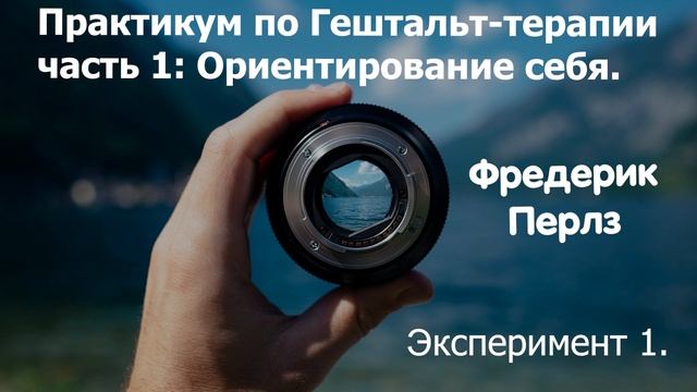 Практикум по гештальт-терапии. смотреть онлайн