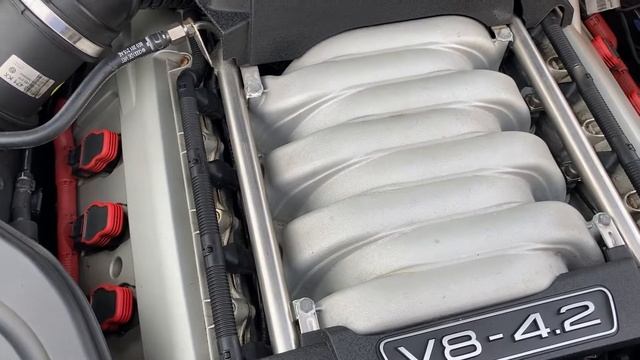 B7 Audi S4 4.2 V8 chain rattle after 2 months in storage смотреть онлайн