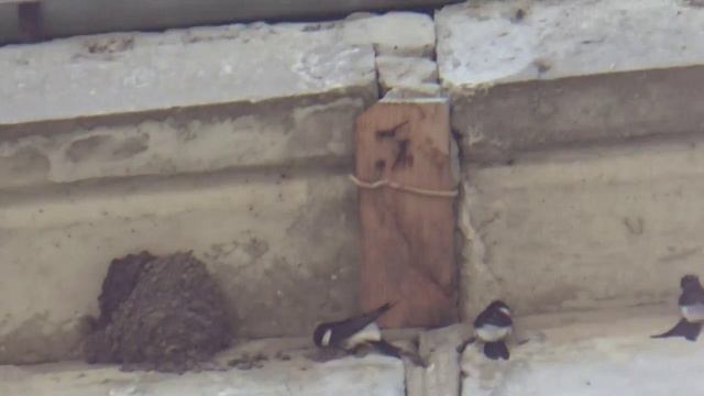 Завтра лето. смотреть онлайн