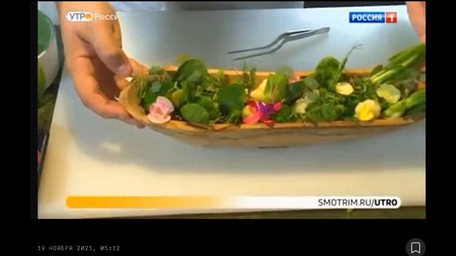 Выращивание микрозелени и съедобных цветов в ресторане.Витрины для выращивания Greenbar смотреть онлайн