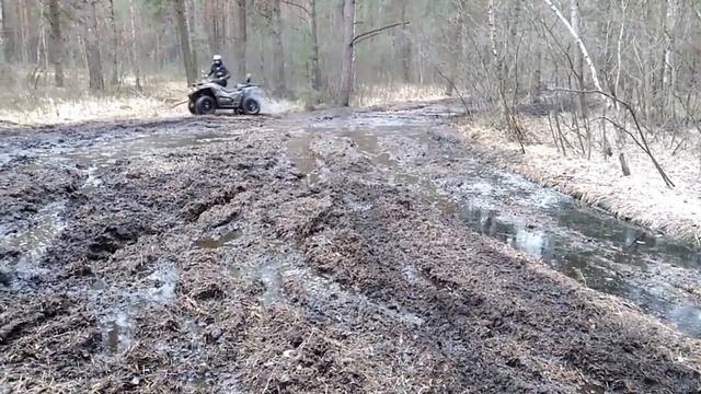 ODES 800 смотреть онлайн