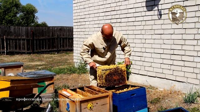 Сохраняем Buckfast B37 смотреть онлайн