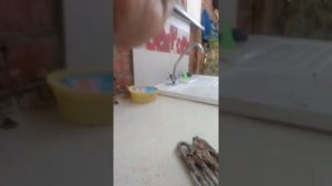 как снять тэн стиральной машины даже если он сильно прикипел