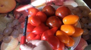 Сорта томатов для длительного хранения.