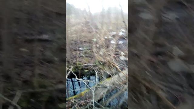 Жилище бобров смотреть онлайн