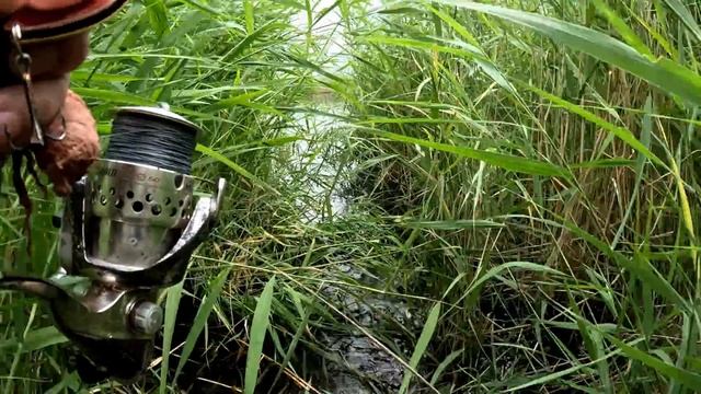 Рыбалка в Дельте реки Или. 3 Часть. ЛОГОВО ЗМЕЕГОЛОВА. смотреть онлайн