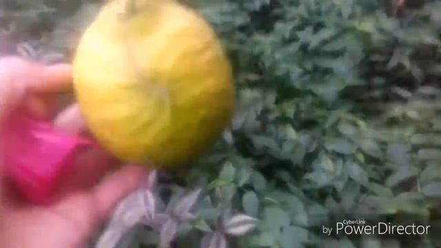 VLOG. Саратов смотреть онлайн