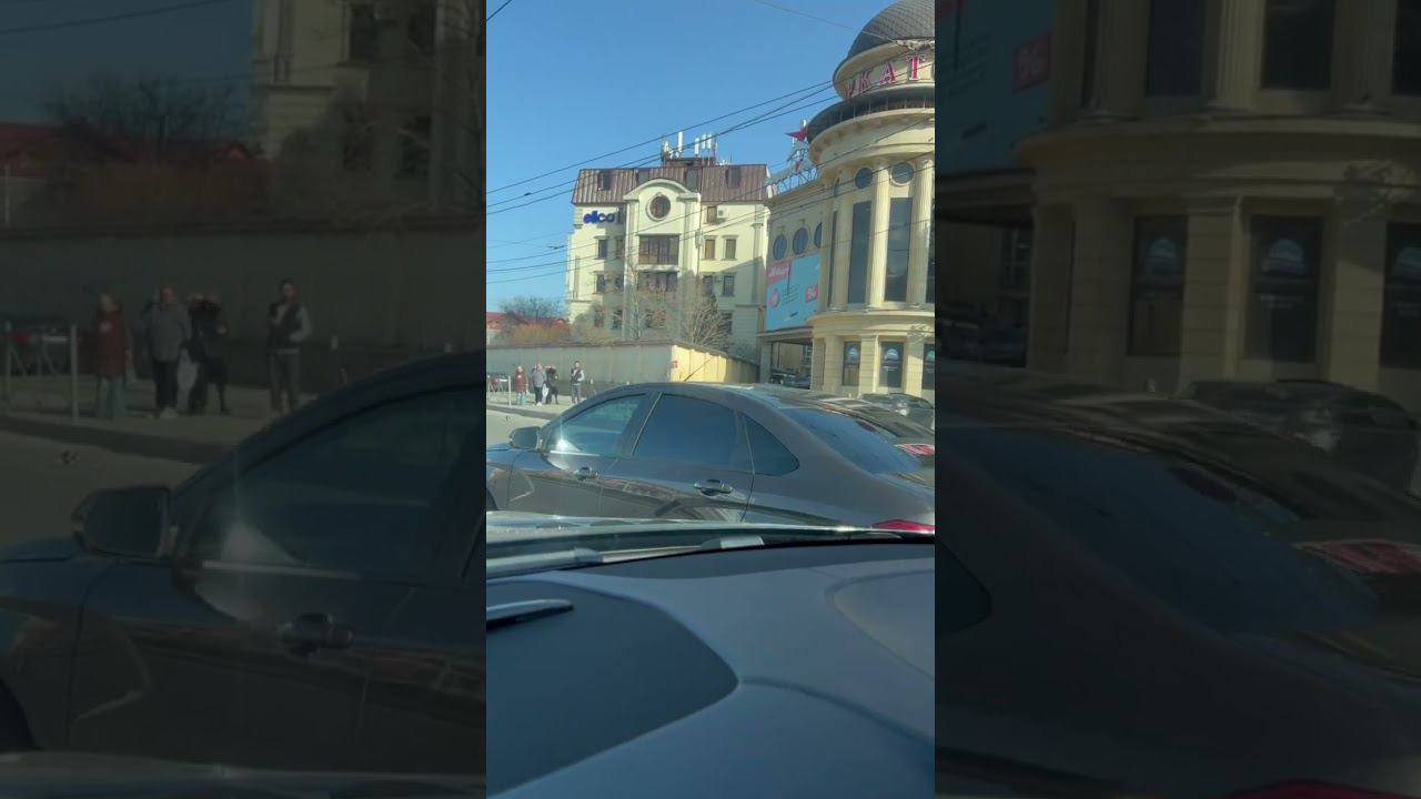 Сбили лошадь