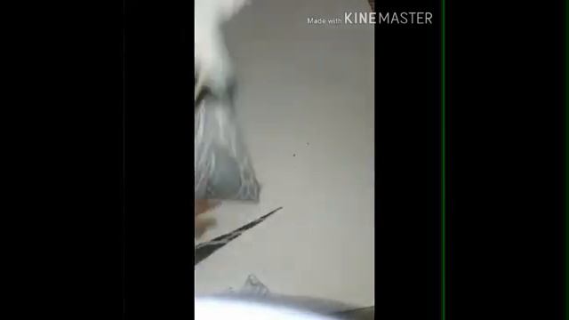 ☆КАК СШИТЬ ДЕТСКУЮ РУБАШКУ☆ДЕТСКИЙ КОЙЛАК КАНДАЙ ТИКИЛАДИ? смотреть онлайн