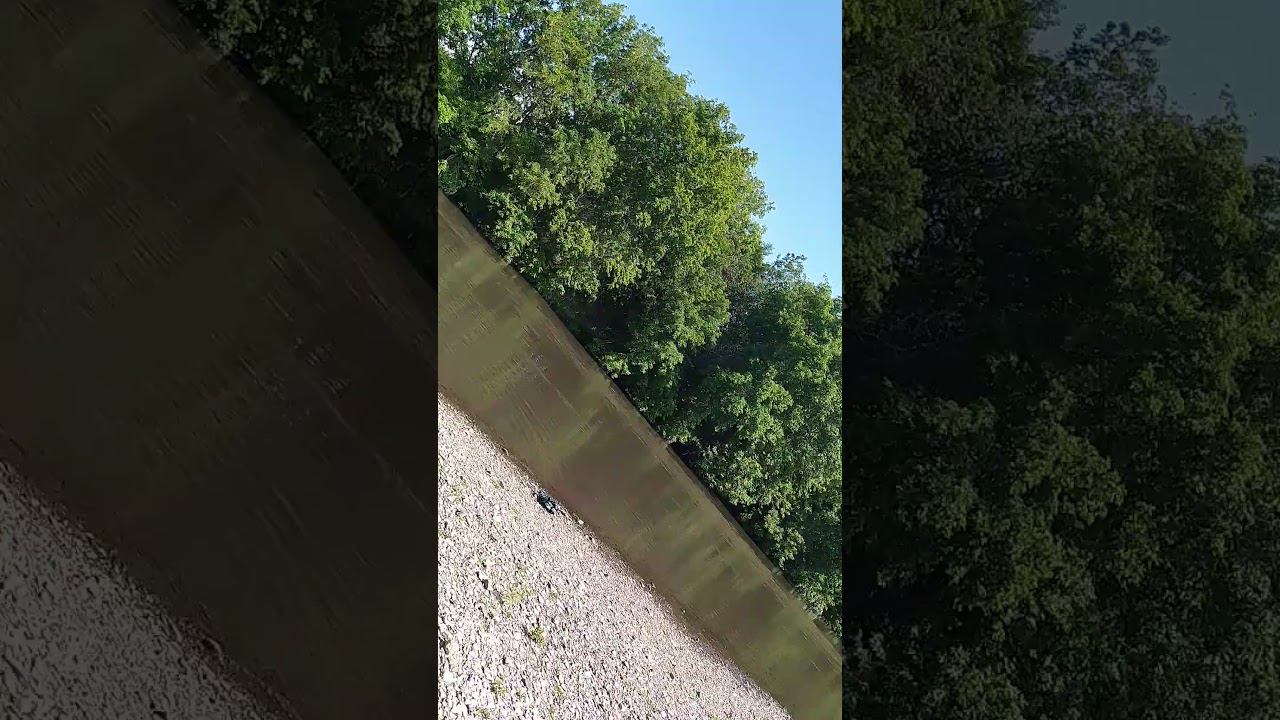 8 августа 2024 г. смотреть онлайн