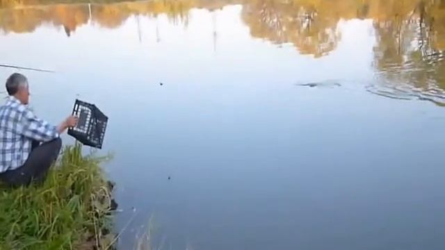 Как ловить щуку на реке Сива с помощью ящика смотреть онлайн