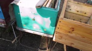 ошибки пчеловода - сокращение гнезда у пчел весной, не нужная работа, и лишнее беспокойство пчел