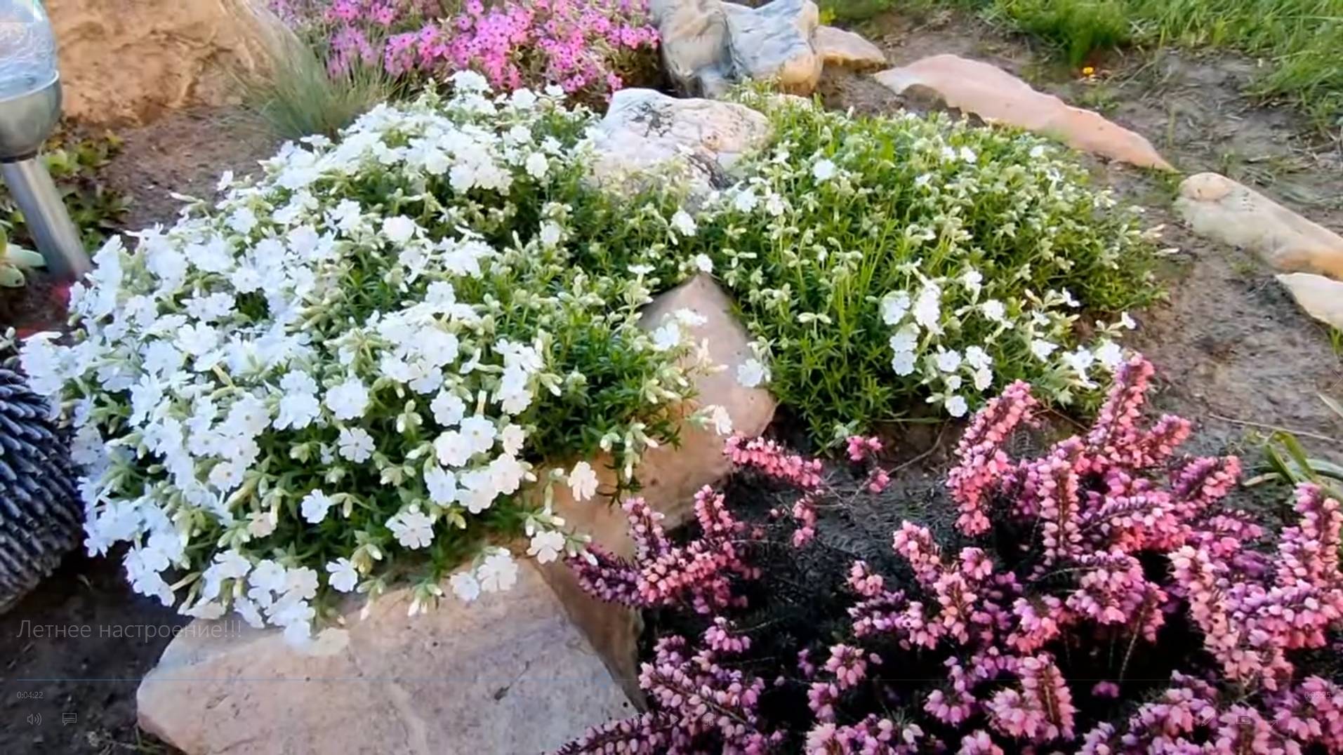 Моя альпийская горка, или как я сходила за щавельком!!! Первая гроза!!! смотреть онлайн