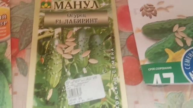 Как сажать огурцы. смотреть онлайн