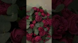 Туган як минусовка