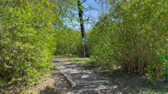 Диканька: Кочубеївські дуби & Бузковий гай / Dykanka: Kochubey oaks & Lilac grove смотреть онлайн