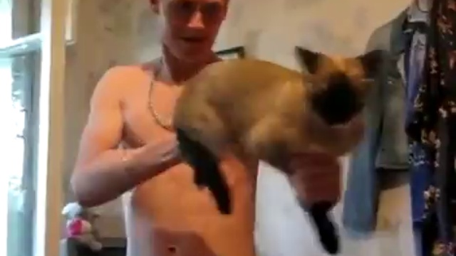 кот-пулемёт