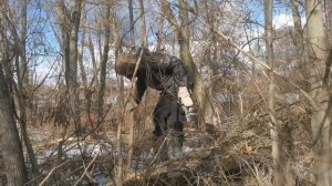 УДАЧНАЯ ОХОТА с Hatsan striker edge на дрозда, ворону, куропатку