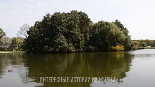 ПО-БЫСТРОМУ СДЕЛАЛА ЭТО В КУСТАХ. Истории из жизни. Жизненные истории и аудио рассказы смотреть онлайн