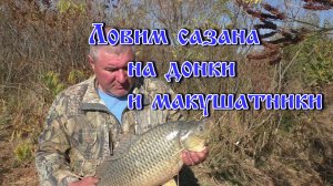 Ловим сазана на донки и макушатники.mp4