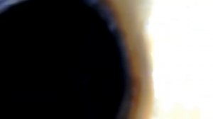 Жор масло LX570, TLC200 сравнительная диагностика.