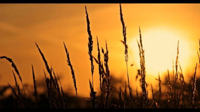Nepali Bible Study - Psalm 5:9 They Speak Deceit смотреть онлайн