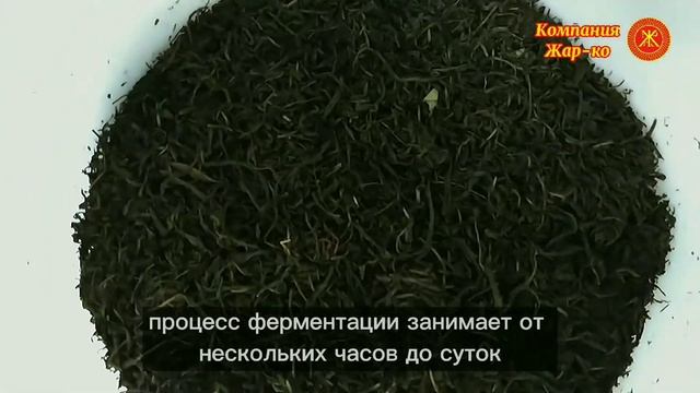 Сушка иван-чая в сушильной камере КС-16 компании Жар-ко смотреть онлайн