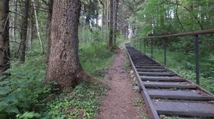 Вологодская обл.Кирилловский р-н.гора Маура